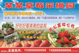 草莓喷绘