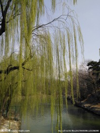 颐和园风景