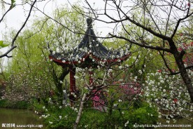 桃花丛中的凉亭