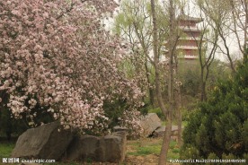 早春