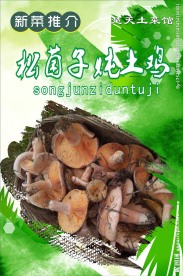 松菌子