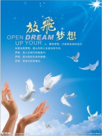 放飞