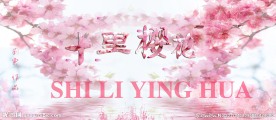 十里樱花 樱花节 倒映 粉色