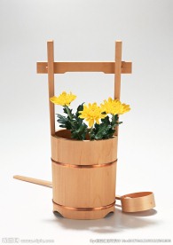 菊花插花艺术
