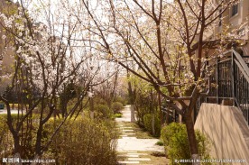 幽静小路