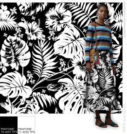 黑白叶片图案设计