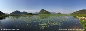 云南普者黑天鹅湖全景图