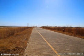 洁净的大道两边的杂草