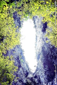 山外山