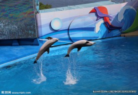 香港海洋世界系列