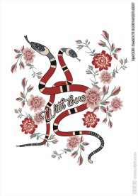 蛇与花朵矢量图