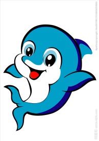 海豚