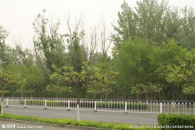 绿色路边景观