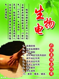 生物电