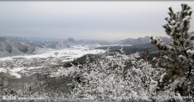 山村雪景