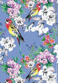 花鸟图案工笔画图案