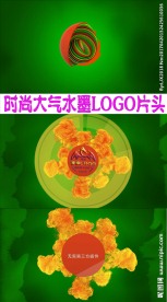 MG动画扁平化水墨LOGO片头