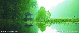 红荷湿地