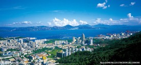 蛇口景色