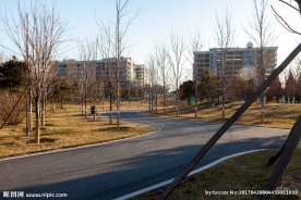 园林道路