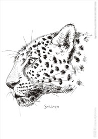 手绘写实豹子头矢量