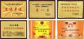 奖牌模版