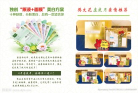 樊文花宣传页