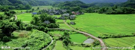 绿色生态