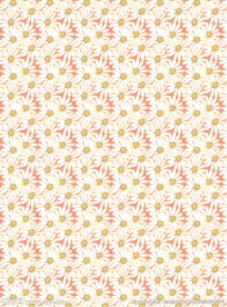雏菊