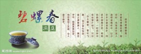 碧螺春