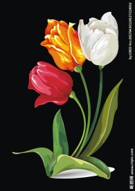 郁金香素材郁金香花朵矢量图下载