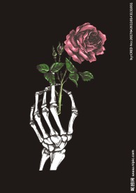 玫瑰花素材下载骷髅头矢量图下载