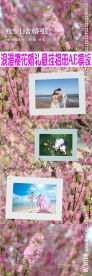 浪漫桃花悬挂照片婚礼AE模板