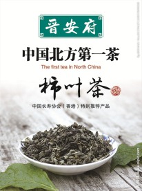 晋安府柿叶茶