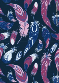 羽毛矢量图下载羽毛花纹素材