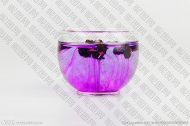 黑枸杞泡茶
