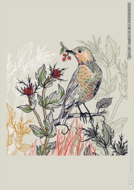 植物花卉素材花鸟素材下载