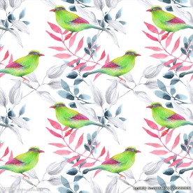 花鸟素材下载植物花卉素材下载