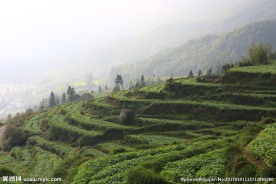 婺源风光 婺源风景