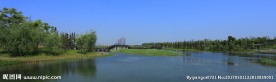湿地公园