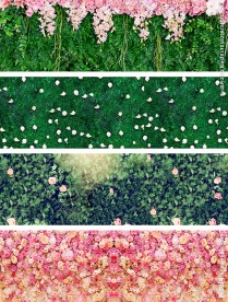 植物墙