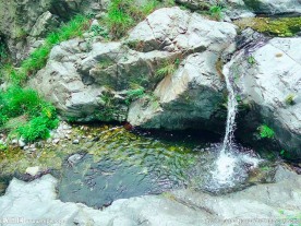 小溪