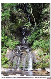 川流不息