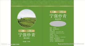 宁强炒表