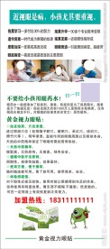 黄金视力眼贴