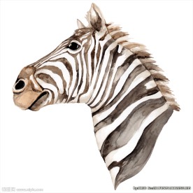 斑马矢量图下载斑马素材下载