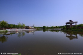 生态公园人工池塘