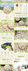 生南瓜子 大片瓜子详情页
