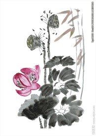 荷塘月色矢量图下载