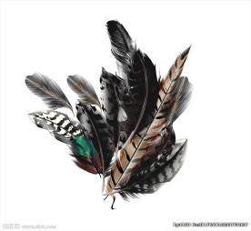 羽毛矢量图下载